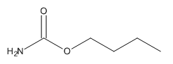 氨基甲酸丁酯的分子结构式